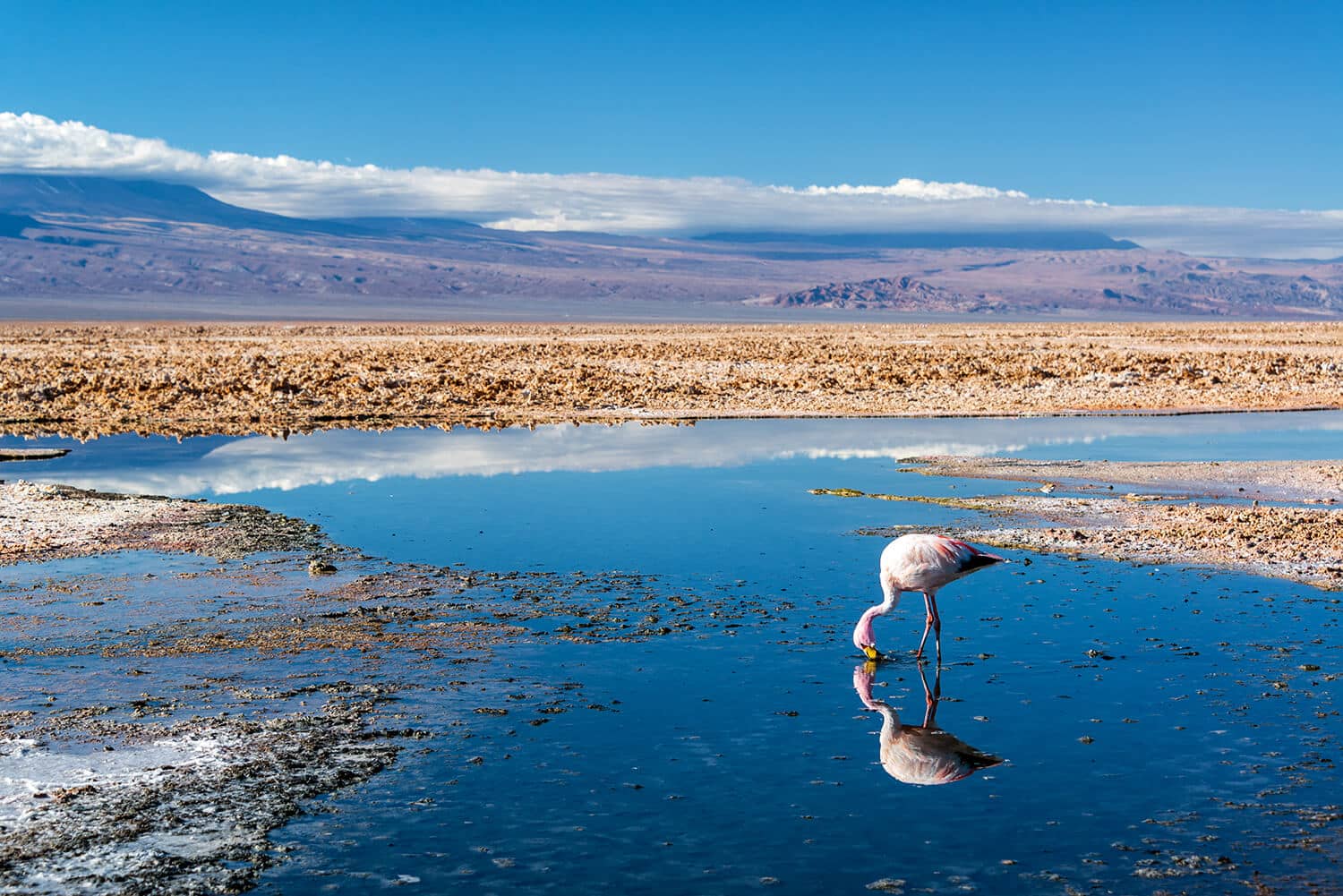 Chile