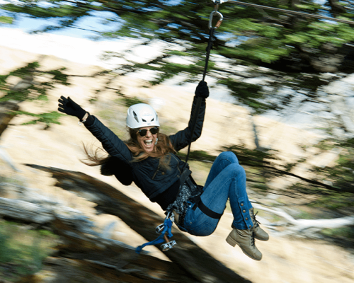 74a25a6688d7e582c53a1932a8c4beef_gallery