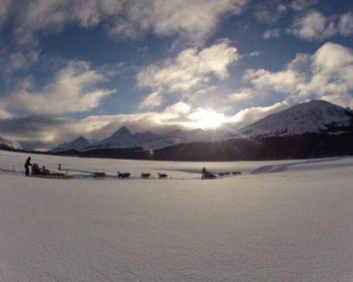 PASSEIOS - SITE USHUAIA