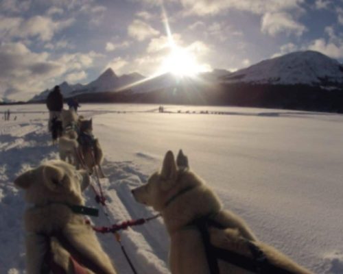 PASSEIOS - SITE USHUAIA (3)