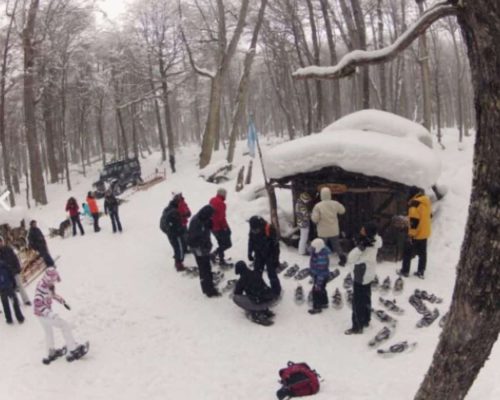 PASSEIOS - SITE USHUAIA (3)