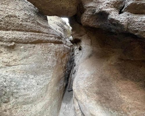 WhatsApp Image 2022-02-02 at 23.09.54 (1)